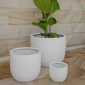Classic Pot