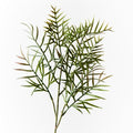 Grevillea Leaf Spray