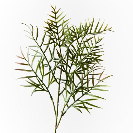 Grevillea Leaf Spray
