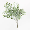 Boxwood Berry Bush - Grey Green