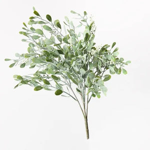 Boxwood Berry Bush - Grey Green