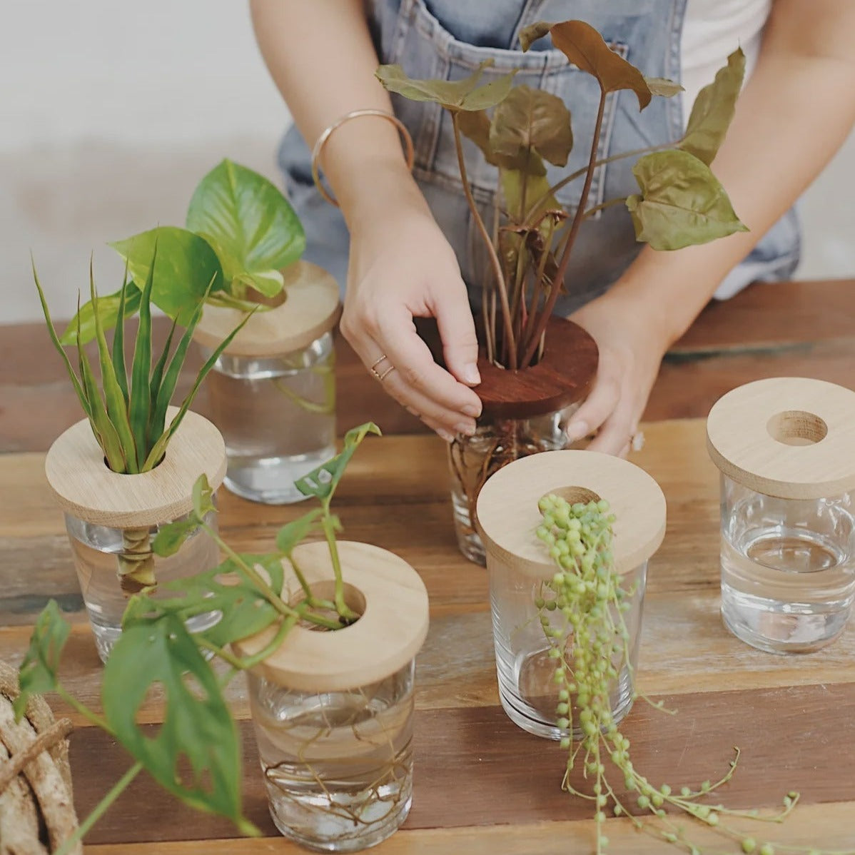 Propagation Vessel
