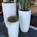 Cylinder Tapered  Pot - White