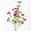 Berry Flowering Spray - Burgandy
