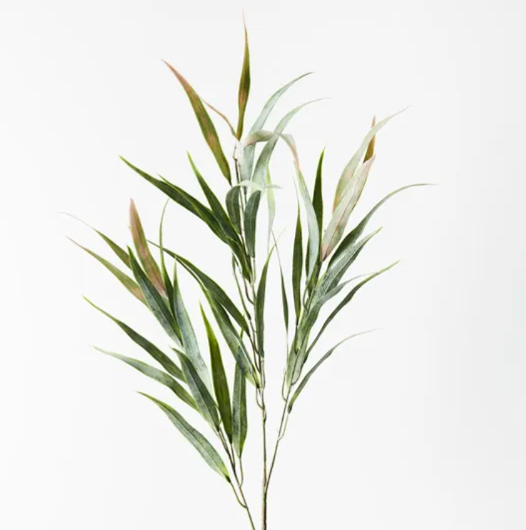 Eucalyptus Long Leaf Spray - Green