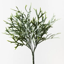 Fern Staghorn Bush - Green Grey