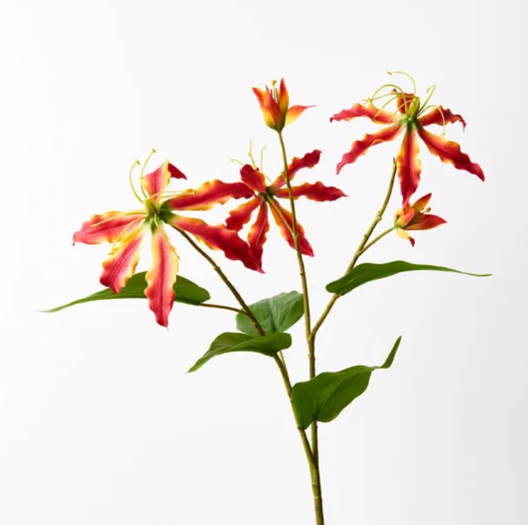 Lily Gloriosa Spray - Red/Orange