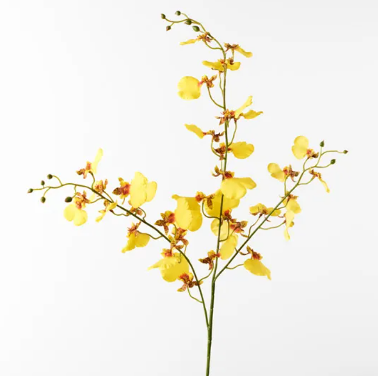 Orchid Dancing - Yellow