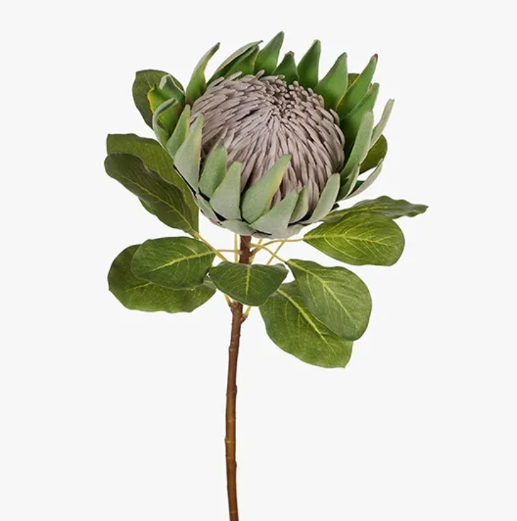 Protea King - Green