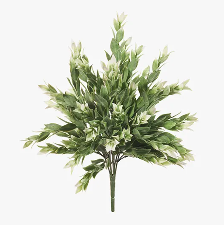 Ruscus Bush - Grey/White