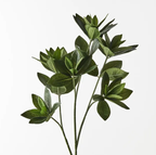 Sweet Leaf Spray - Green