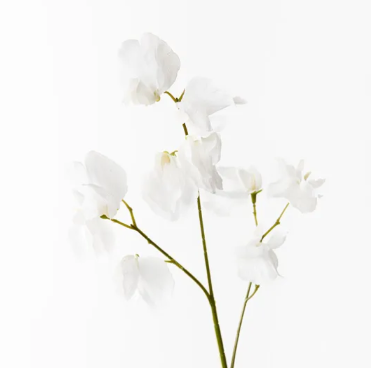 Sweet Pea Spray - Winter White