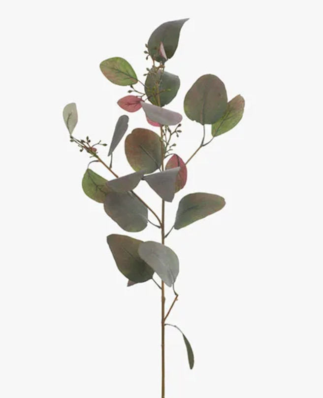 Eucalyptus Seed Spray