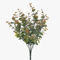 Eucalyptus Bush