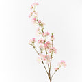 Blossom Cherry
