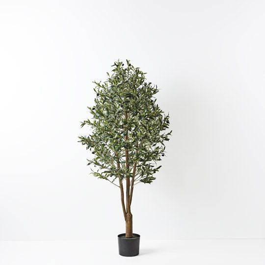 Olive Tree - 150cm - FI8660GR