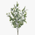 Eucalyptus Bush