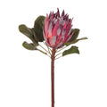 Protea King - Burgandy