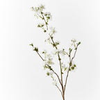 Cherry Blossom - White