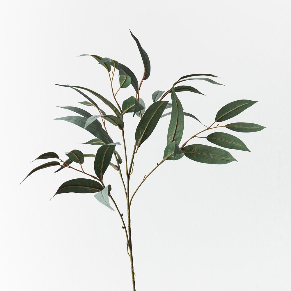 Eucalyptus Long Leaf Spray - Grey Green