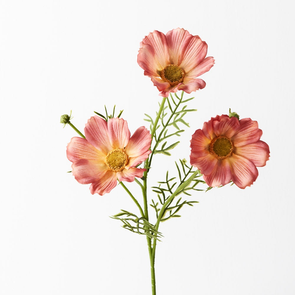 Cosmo Spray - Orange