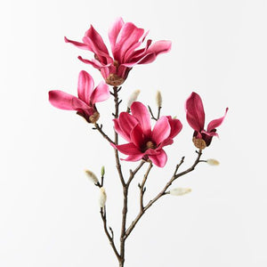Magnolia Japanese Spray - Fuschia