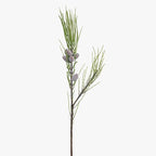 Needle Pine Cone Spray