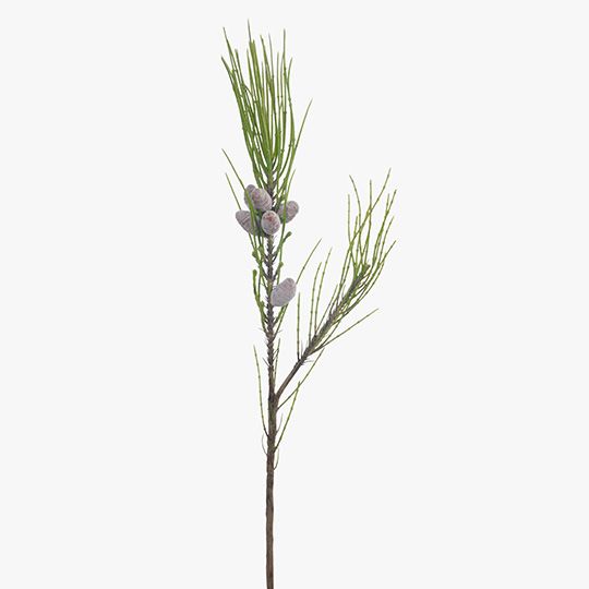 Needle Pine Cone Spray
