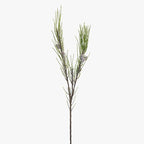 Needle Pine Cone Spray