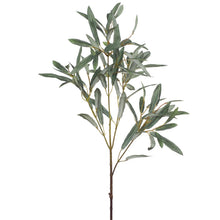 Olive Leaf Spray