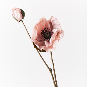 Poppy Celeste - Light Pink