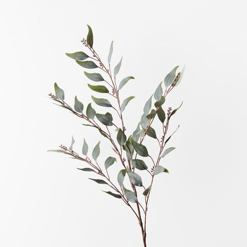 Eucalyptus Seed Spray Green