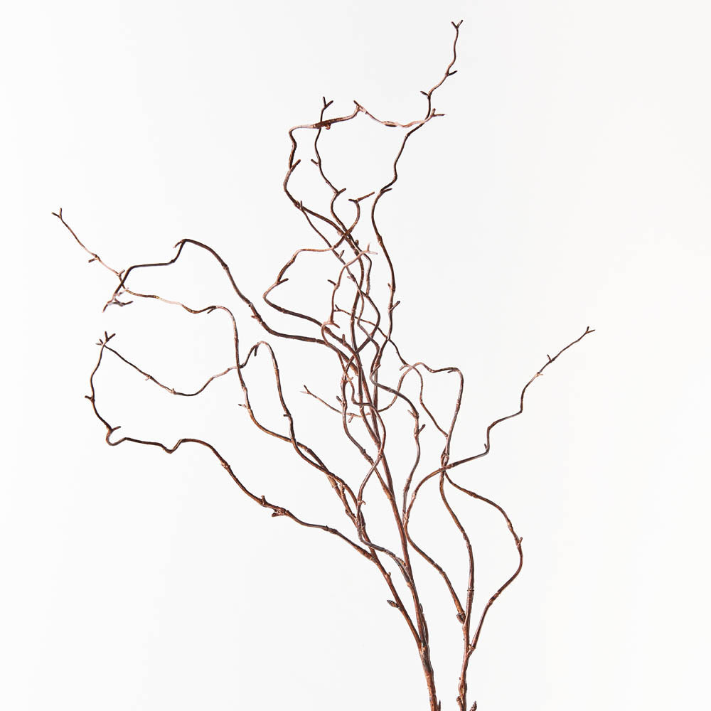 Twig Curly Willow Spray